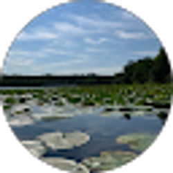 Profile photo of Cassie Hunsberger