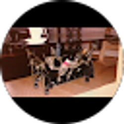 Profile photo of Eriberto Razo