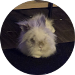 Profile photo of Amanda Zacher