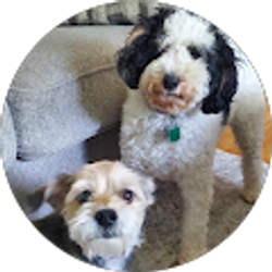 Profile photo of Marjorie Burger