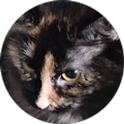 Profile photo of Margaret Hopper