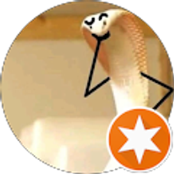 Profile photo of Quynh Truong