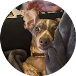 Profile photo of Sarah Hansen