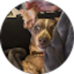 Profile photo of Sarah Hansen