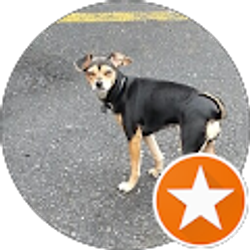 Profile photo of Stacey Barker