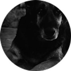 Profile photo of jeffery tucker