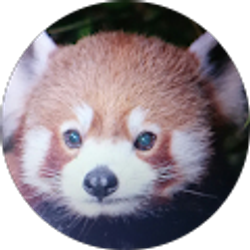 Profile photo of SpoopyAnimates