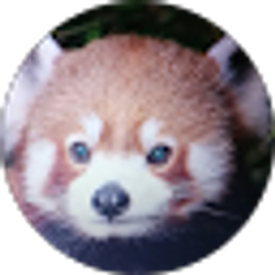 Profile photo of SpoopyAnimates