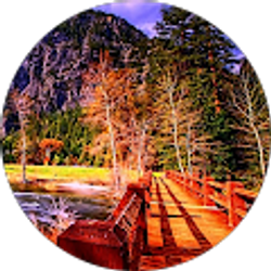 Profile photo of Andrew Dinu