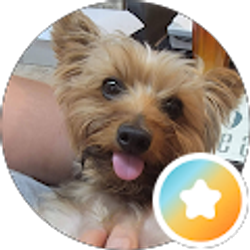 Profile photo of viky R