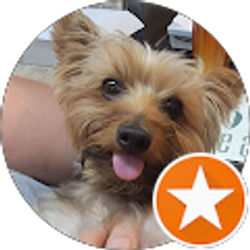 Profile photo of viky R