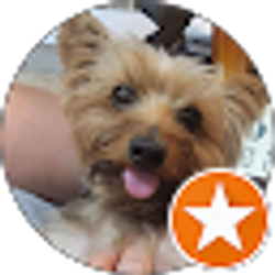 Profile photo of viky R