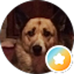 Profile photo of Albert Hardy