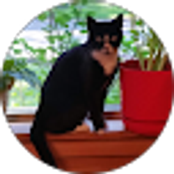 Profile photo of Michele Graves