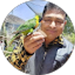 Profile photo of Rajeshwar Prasad
