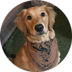 Profile photo of Stacy Kelecy