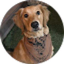 Profile photo of Stacy Kelecy