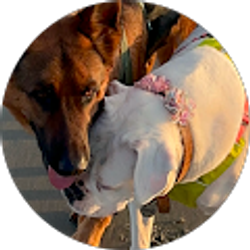 Profile photo of Jennifer sheppard