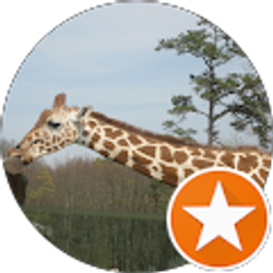 Profile photo of Padmaja P