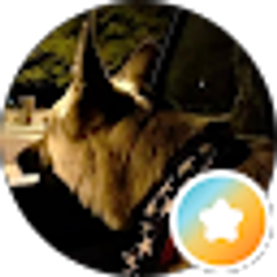 Profile photo of Dos Bro
