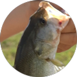 Profile photo of Judge McLeod