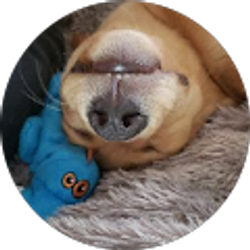 Profile photo of Rachel Lynn