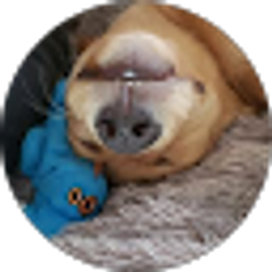 Profile photo of Rachel Lynn