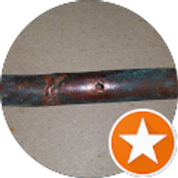 Profile photo of M. M.