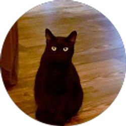 Profile photo of Will Brown