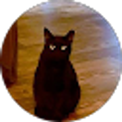 Profile photo of Will Brown