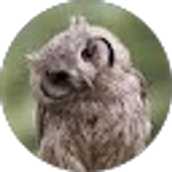 Profile photo of Nicole Spitaleri