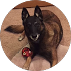 Profile photo of Emma Heyen