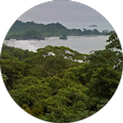 Profile photo of Claudio Rodriguez