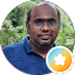 Profile photo of Srinivasan Shanmugasundaram
