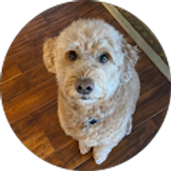 Profile photo of Rose Boedy