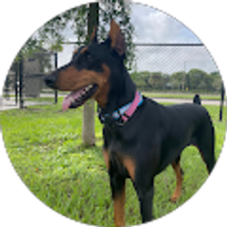 Profile photo of Kelly Banner