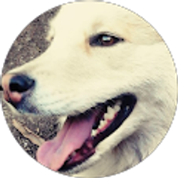 Profile photo of chris leclair