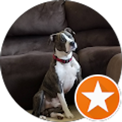 Profile photo of James Engelkens