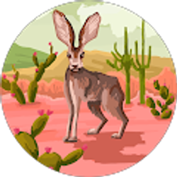 Profile photo of Paulina Martinez