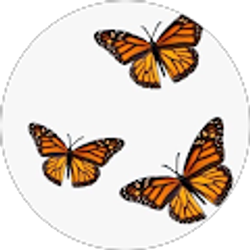 Profile photo of Bella S