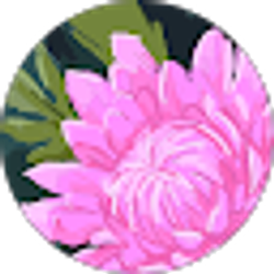 Profile photo of Xiomara Lopez