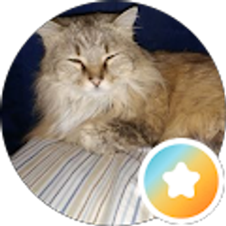 Profile photo of Deb White