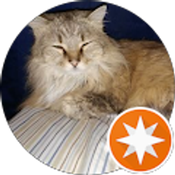 Profile photo of Deb White