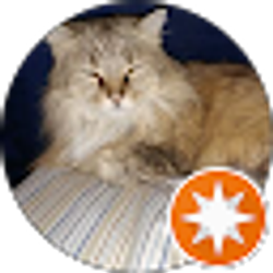 Profile photo of Deb White