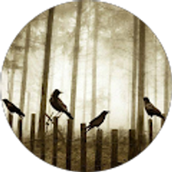 Profile photo of Jude Schutte