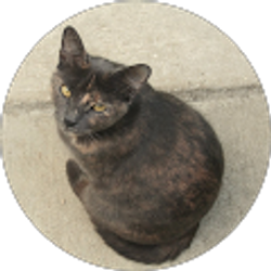 Profile photo of Robin DuPont