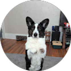 Profile photo of Brandon Morgan