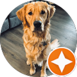 Profile photo of J B