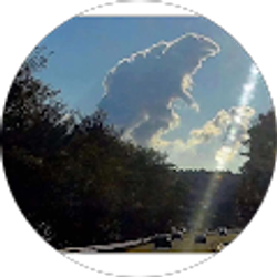 Profile photo of EvoX_215