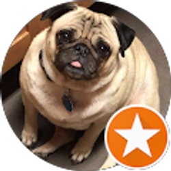 Profile photo of Kayla Alcancia